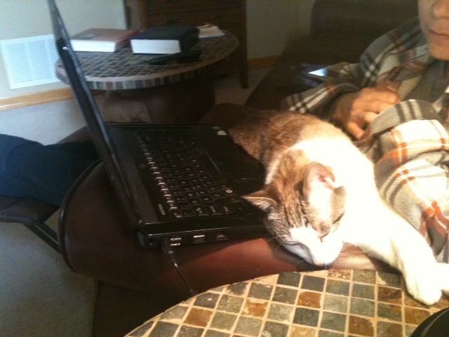 Sleeping On Keyboard