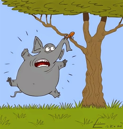 Mengapa gajah lebih takut semut dibanding tikus ? Mengapa gajah lebih takut semut dibanding tikus ?