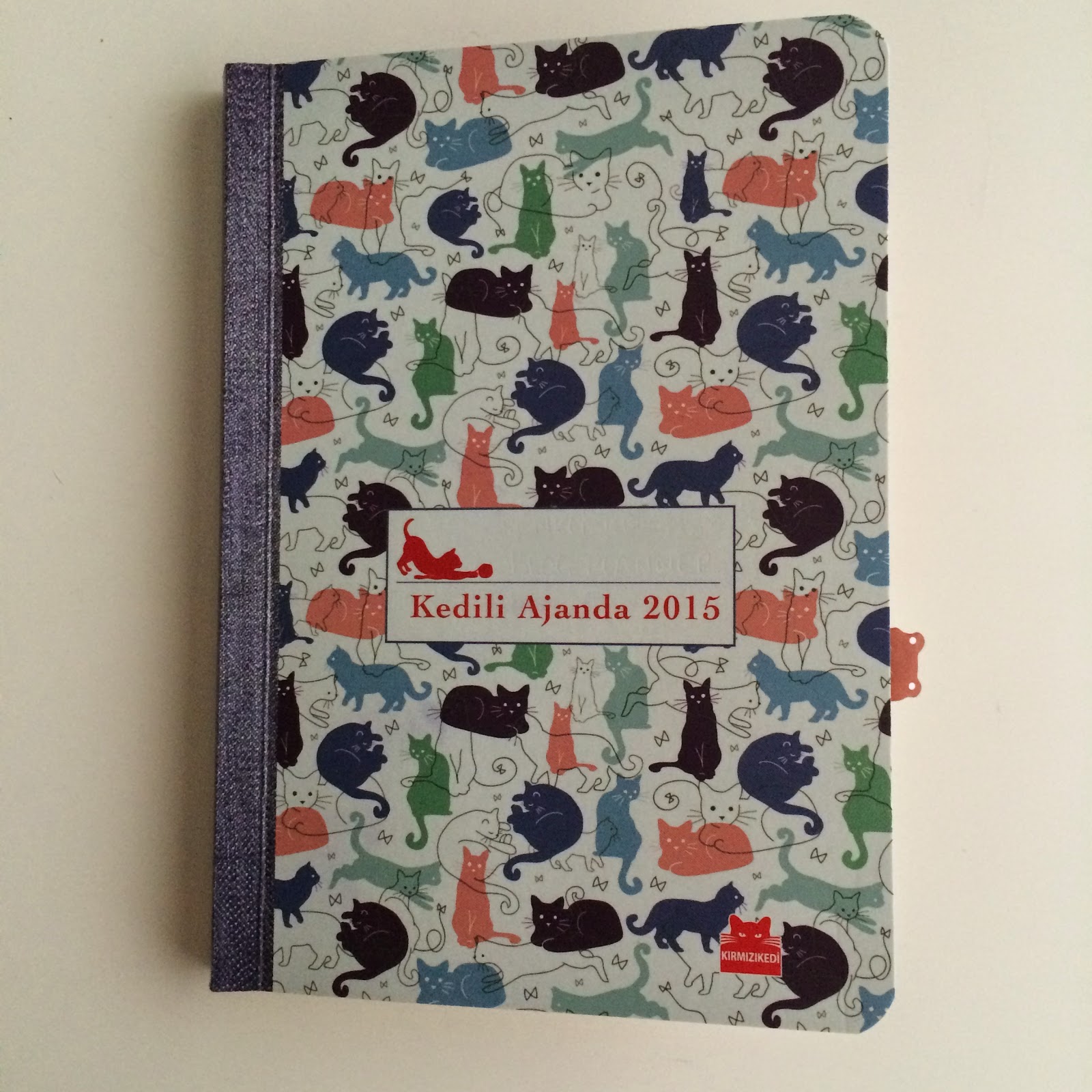 Renkli Kitap 2015 Ajandalarim