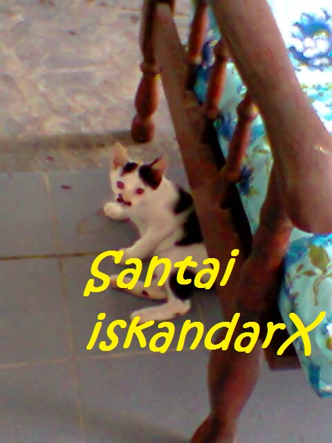 iskandarx.blogspot.com, Faizal tengah rehat serta minum air da, santai, Faizal, Jupiter, Pluto, Charlicaplin, Neptune, Naili, Laili, Laila, Solehah, Puteh