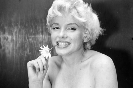 Celebrity Marilyn Monroe Celebrity Marilyn Monroe