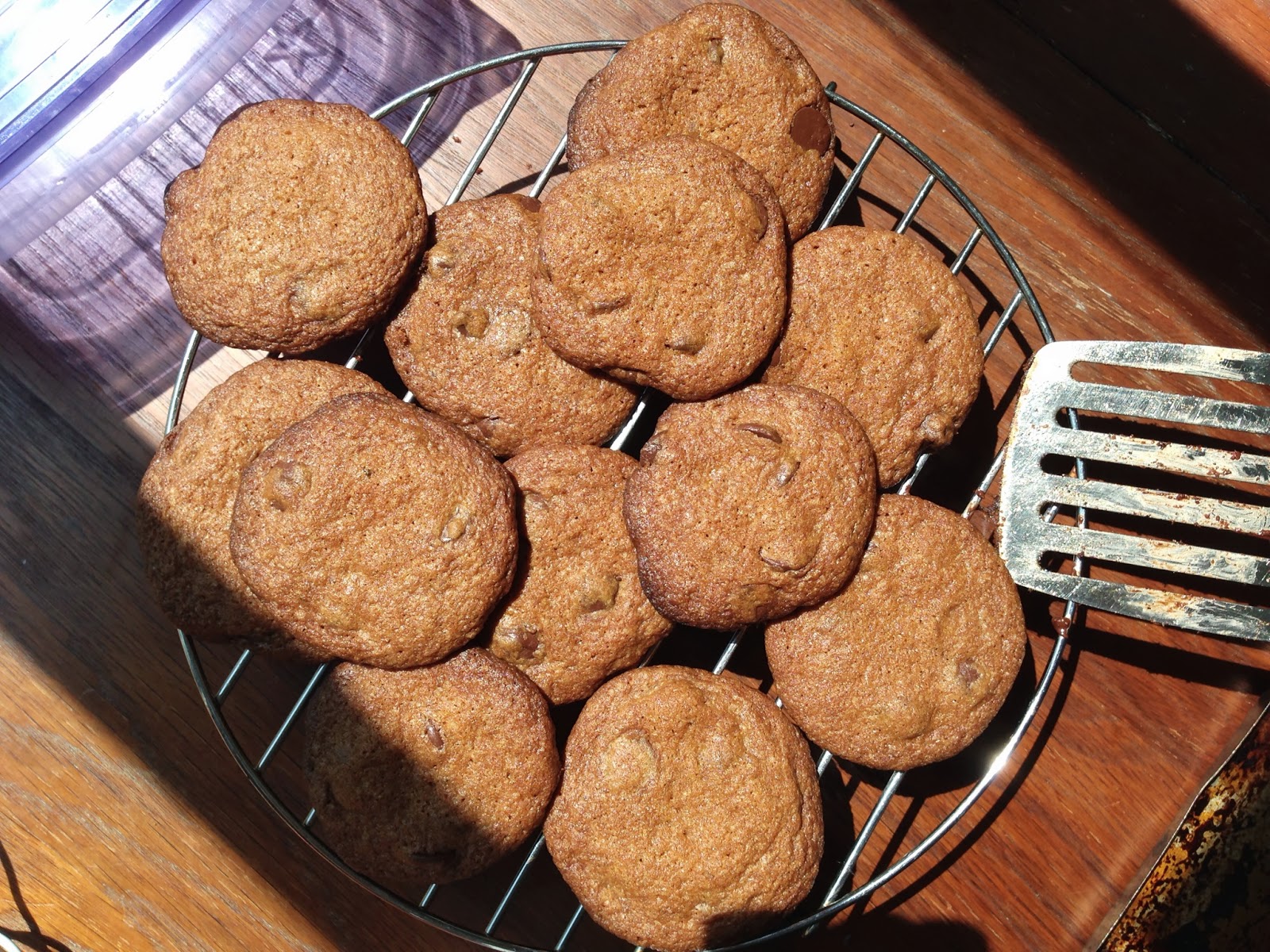 The Pittsburgh Kitchen Chocolate Chip Vanilla Bean Cookies