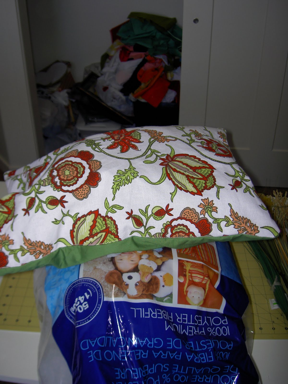 Chapman Place Dollar Store Pillows