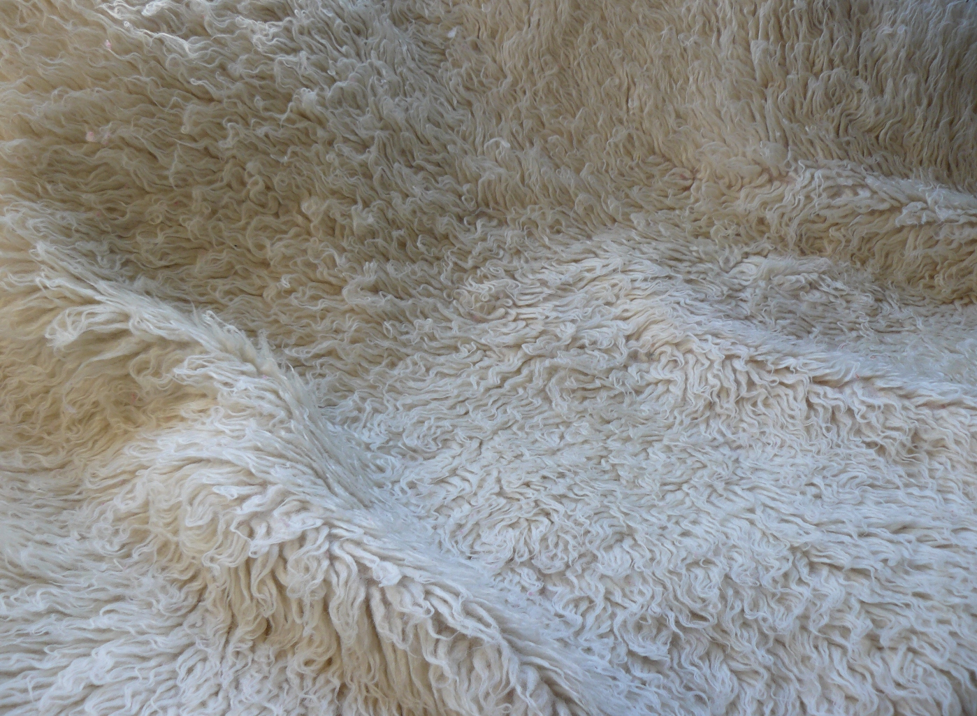 Bibliophilia How to make a flokatistyle rug