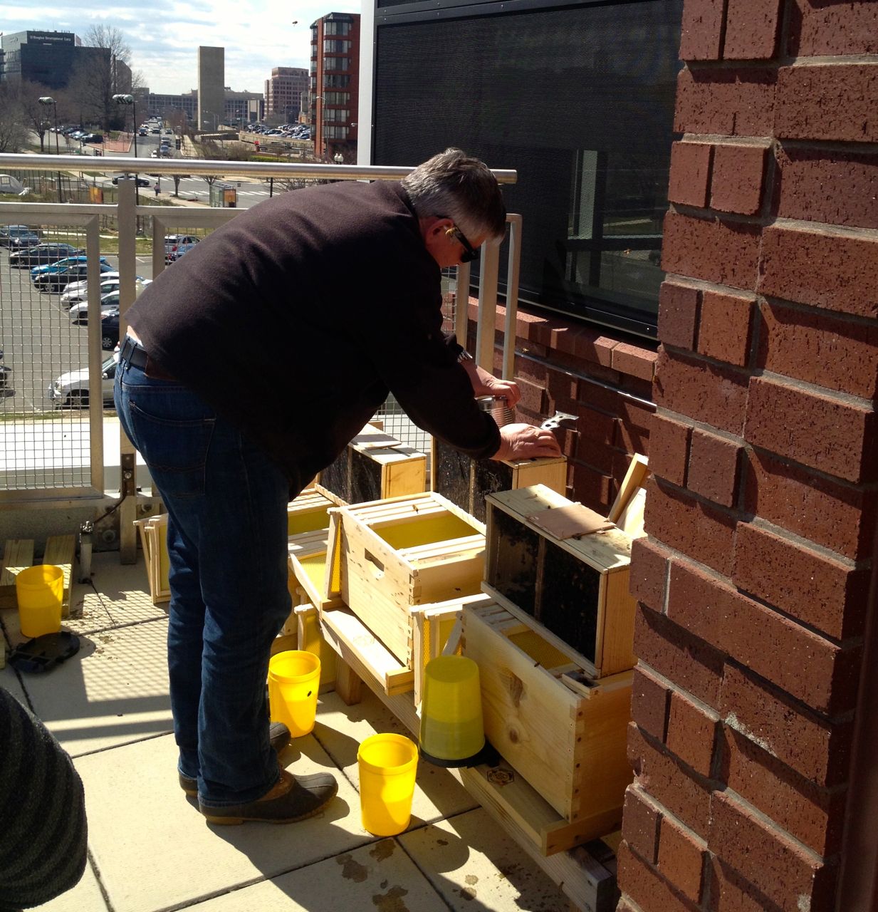 DC Honeybees Walker Jones Adds Five New Hives