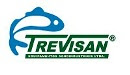 Trevisan