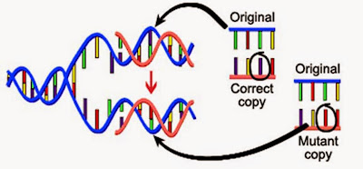 http://4.bp.blogspot.com/-mIir0_jrH7o/VOTn-48uhMI/AAAAAAAAEqQ/wh5G21Y_Op8/s1600/CGC-Mutation.jpg