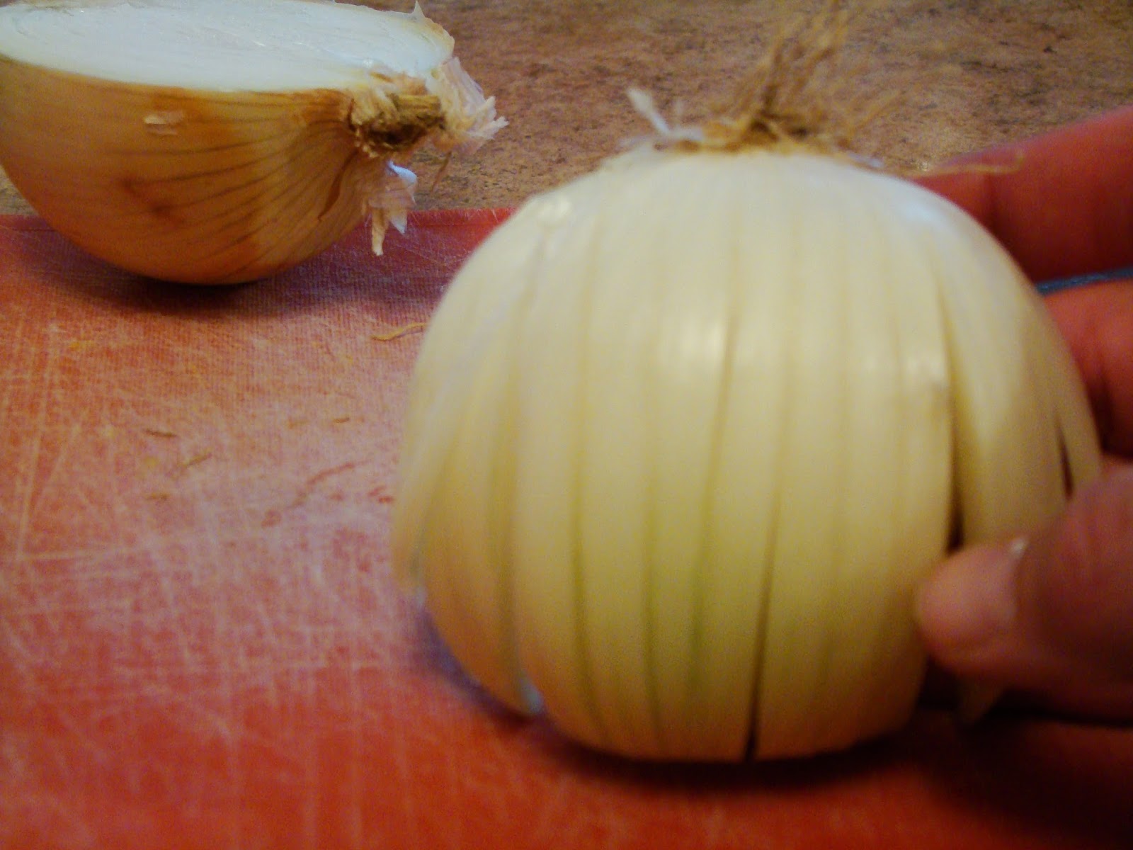 Cindy Riddle Easy Way to Chop an Onion