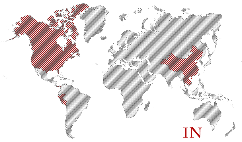 My Travels in