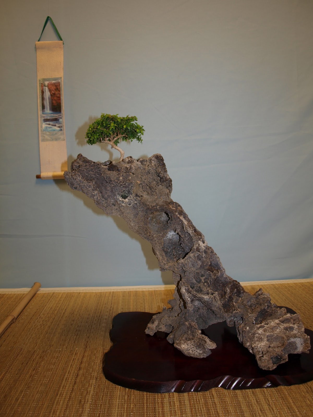 A Life Inspired by Nature Austin Bonsai Show