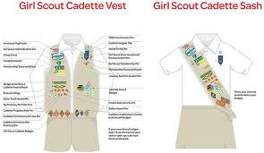 Cadette Interest Projects