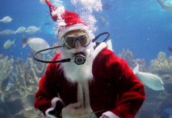 Swimming-Santa.jpg
