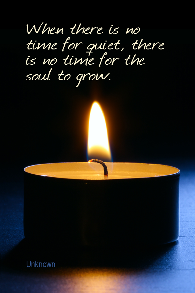 visual quote - image quotation for MEDITATION - When there is no time for quiet, there is no time for the soul to grow. - Unknown