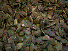 pumpkin seeds pumpkin seeds