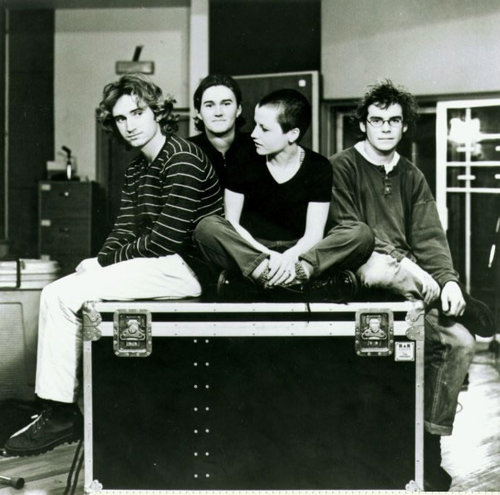 the cranberries the cranberries