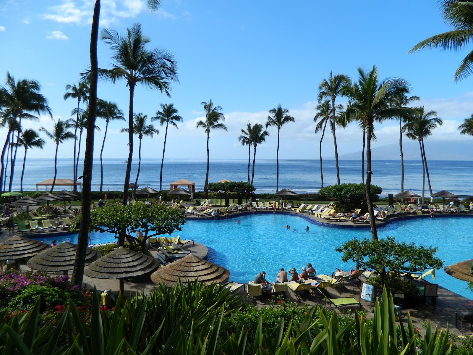 Hyatt In Hawaii