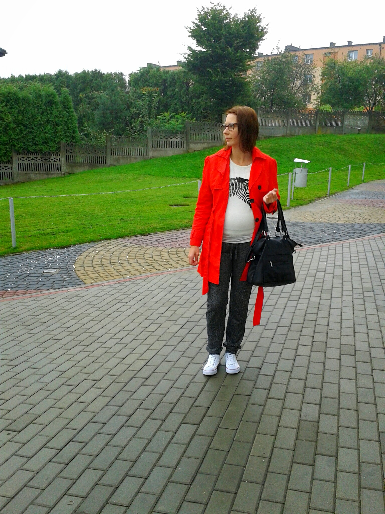 Zebra i spółka. ..