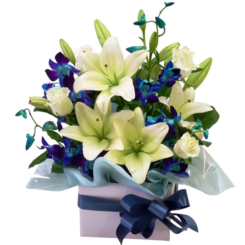 Regal Flower, your Sydney Florist Designing the White and Blue Flower