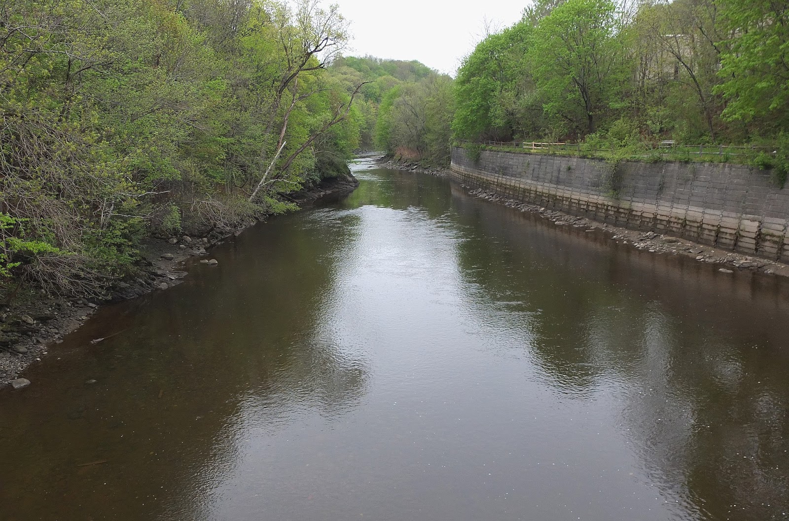 Hiking in Maine with Kelley 5/12/13 Kenduskeag Stream Trail