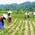 Thủ tướng phê duyệt Chiến lược công tác dân tộc