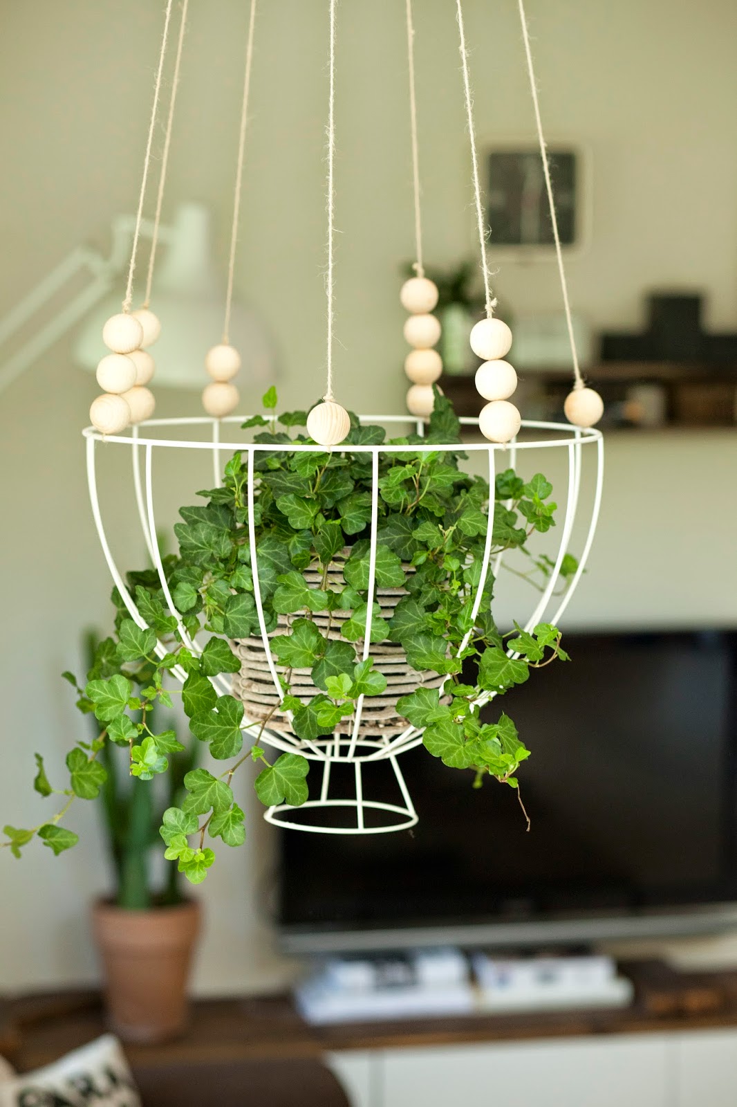 blumenampel mit licht