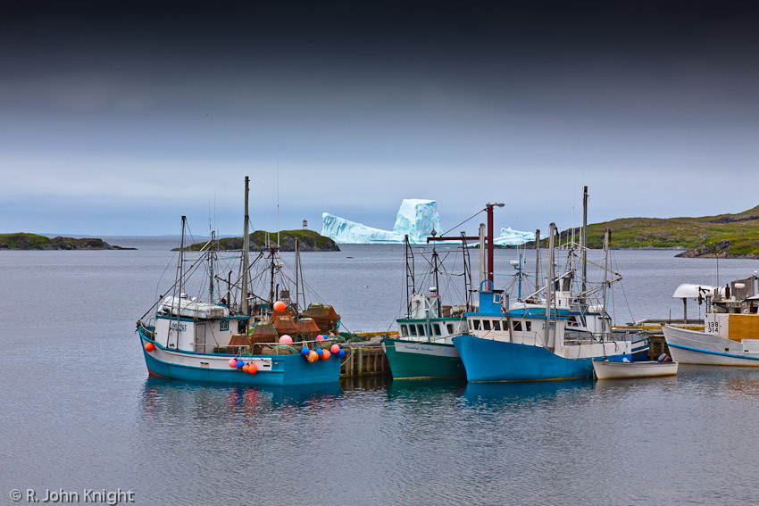 Goose Cove