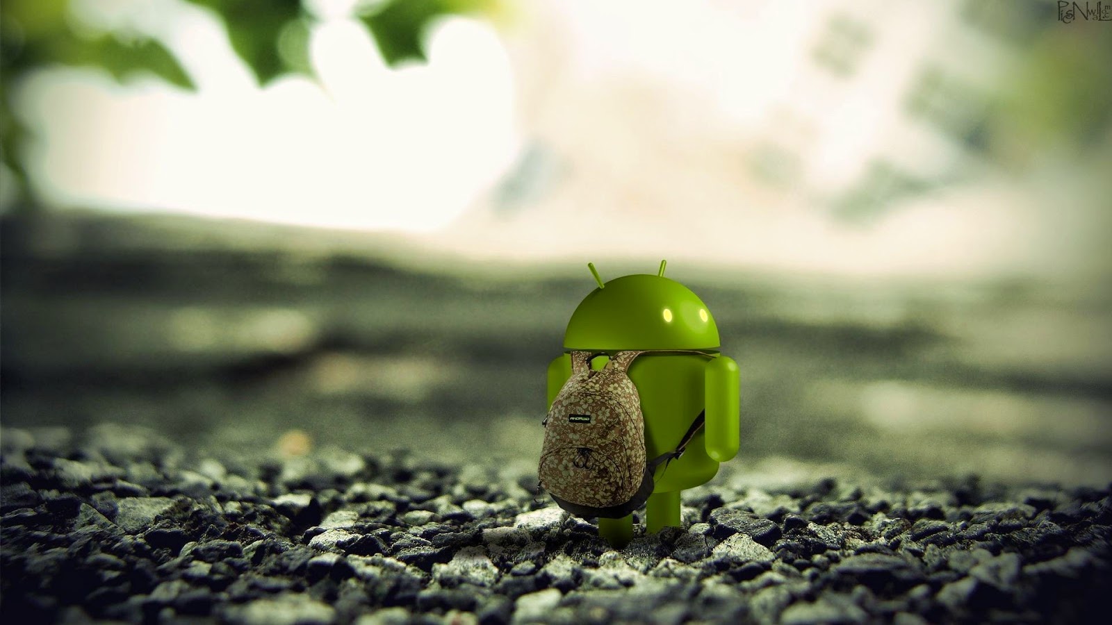 android wallpaper download