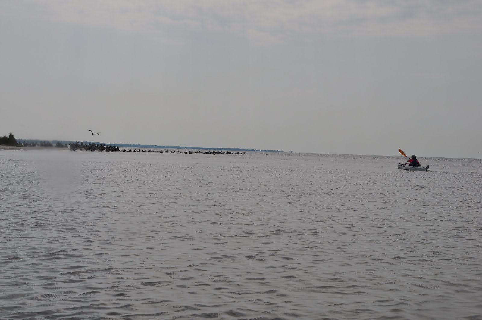 Southeastern Louisiana Paddling Kayak Around Deer Island Biloxi,Mississippi