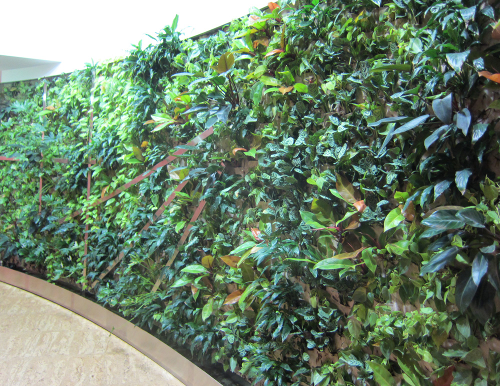 Ode Street Tribune with proper care, Artisphere will grow