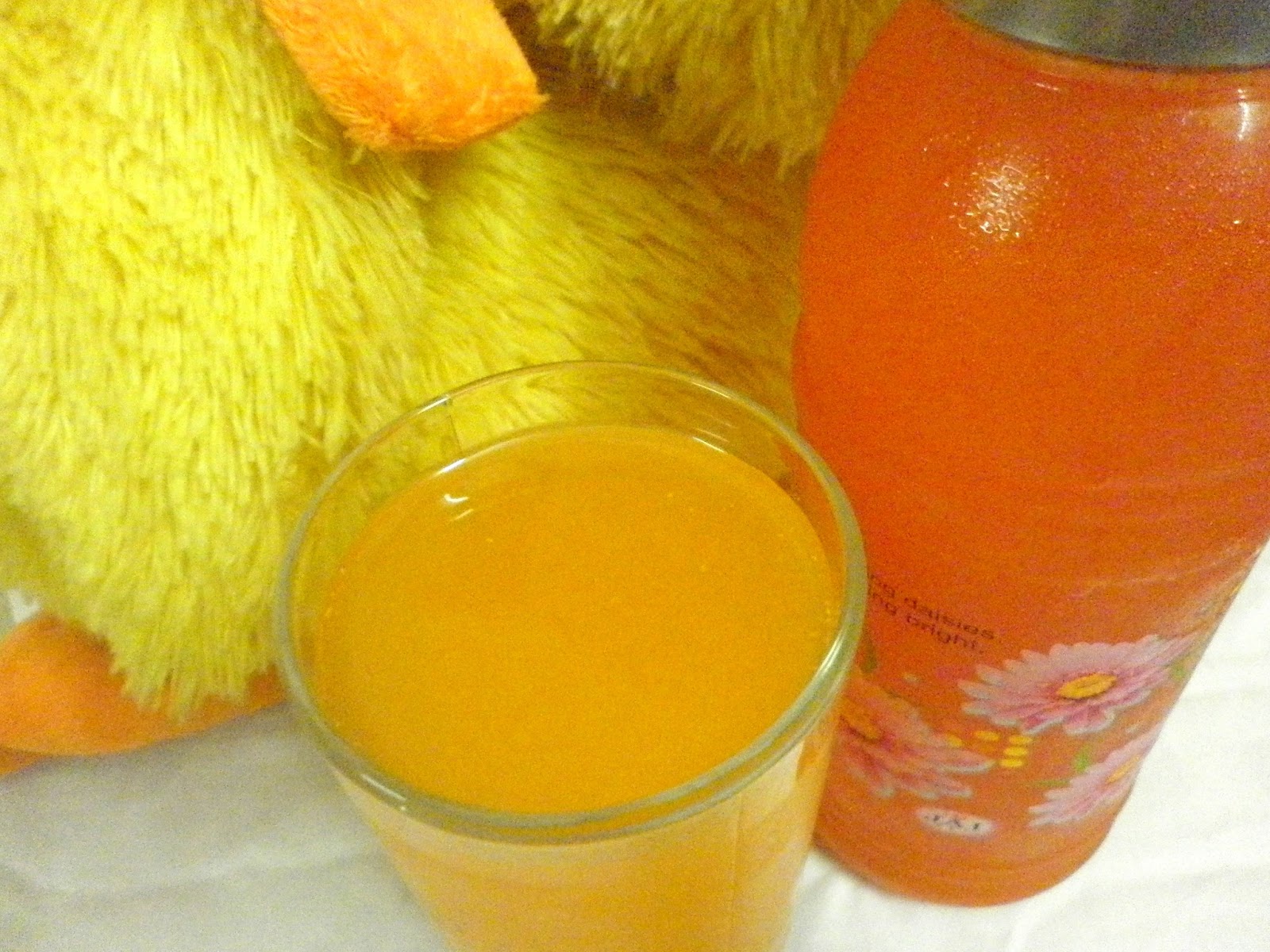 Babi 's Recipes Orange Squash/Juice Summer Drink