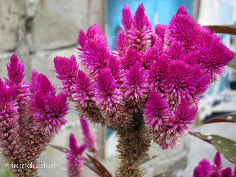 Live In The Moment Kindayonan