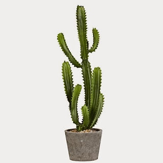 Riego de las Plantas Riego de las Plantas