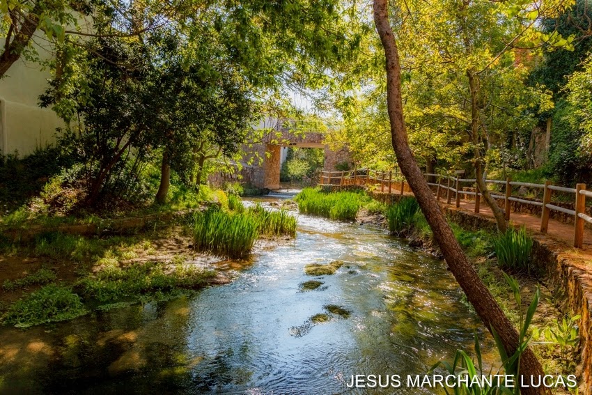 Foto de Paseo Río Salobre (inicio) en Salobre, Albacete