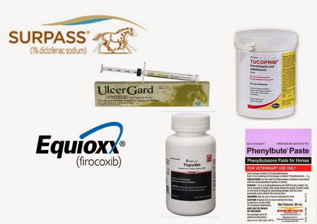 Michael Porter, Equine Veterinarian OnLine Pharmacy for PHD