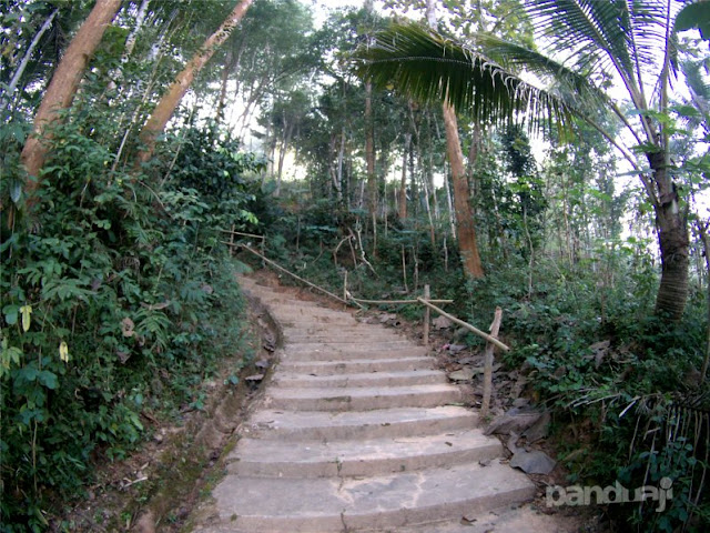 Jalan ke Puncak Jalan ke Puncak