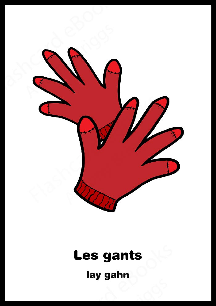 Flashcard Books Learn French Vocabulary English/French Flashcards