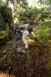 Queen Peak Vancouver Island, Hiking