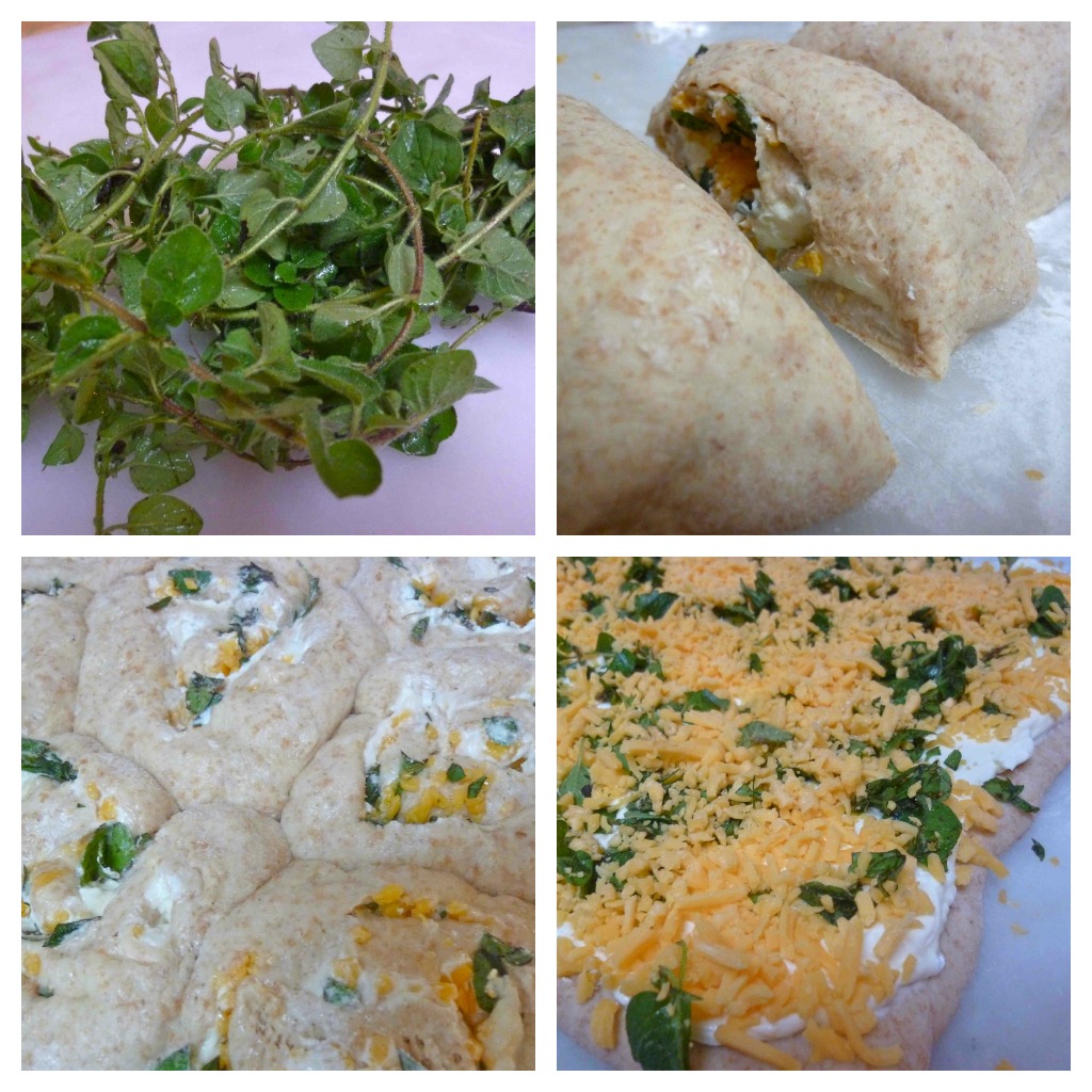 Cheddar Oregano Spelt Spiral Rolls Diary of a Mad Hausfrau