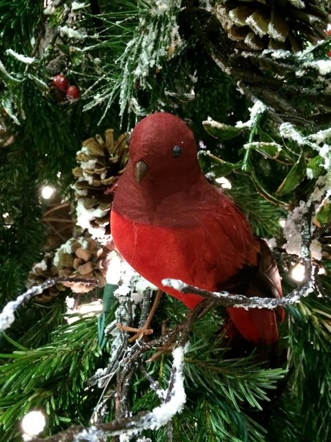 Red bird Red bird