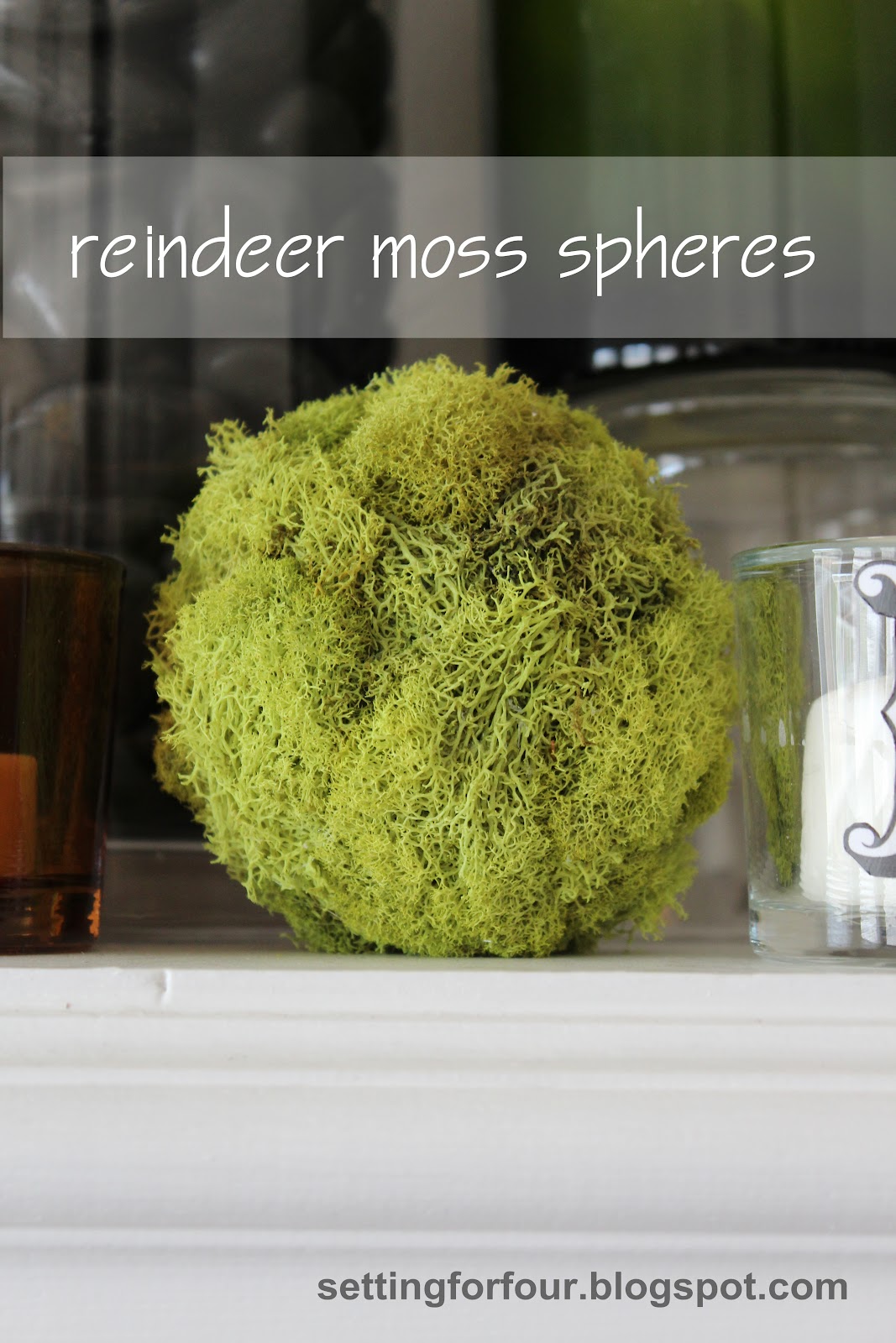 Moss Sphere