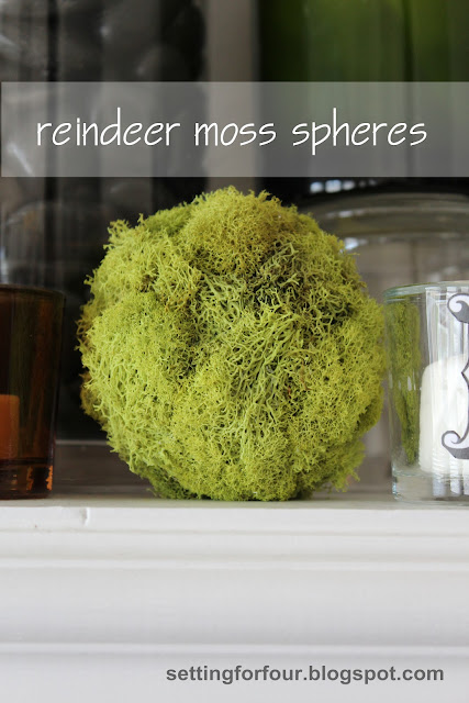 Make these quick and easy DIY Reindeer Moss Balls for home decor accents! See the tutorial! Add them to a mantel, a bowl or apothecary jar for a pretty pop of green color! Nice for spring decor too.