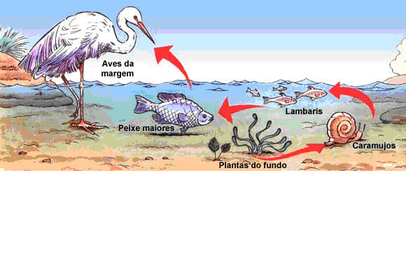 blog do 1º ano do ensino mÉdio 2012