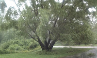 hashtags during storms