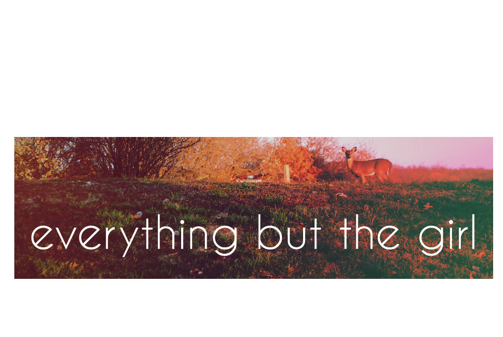 Everything But The Girl.