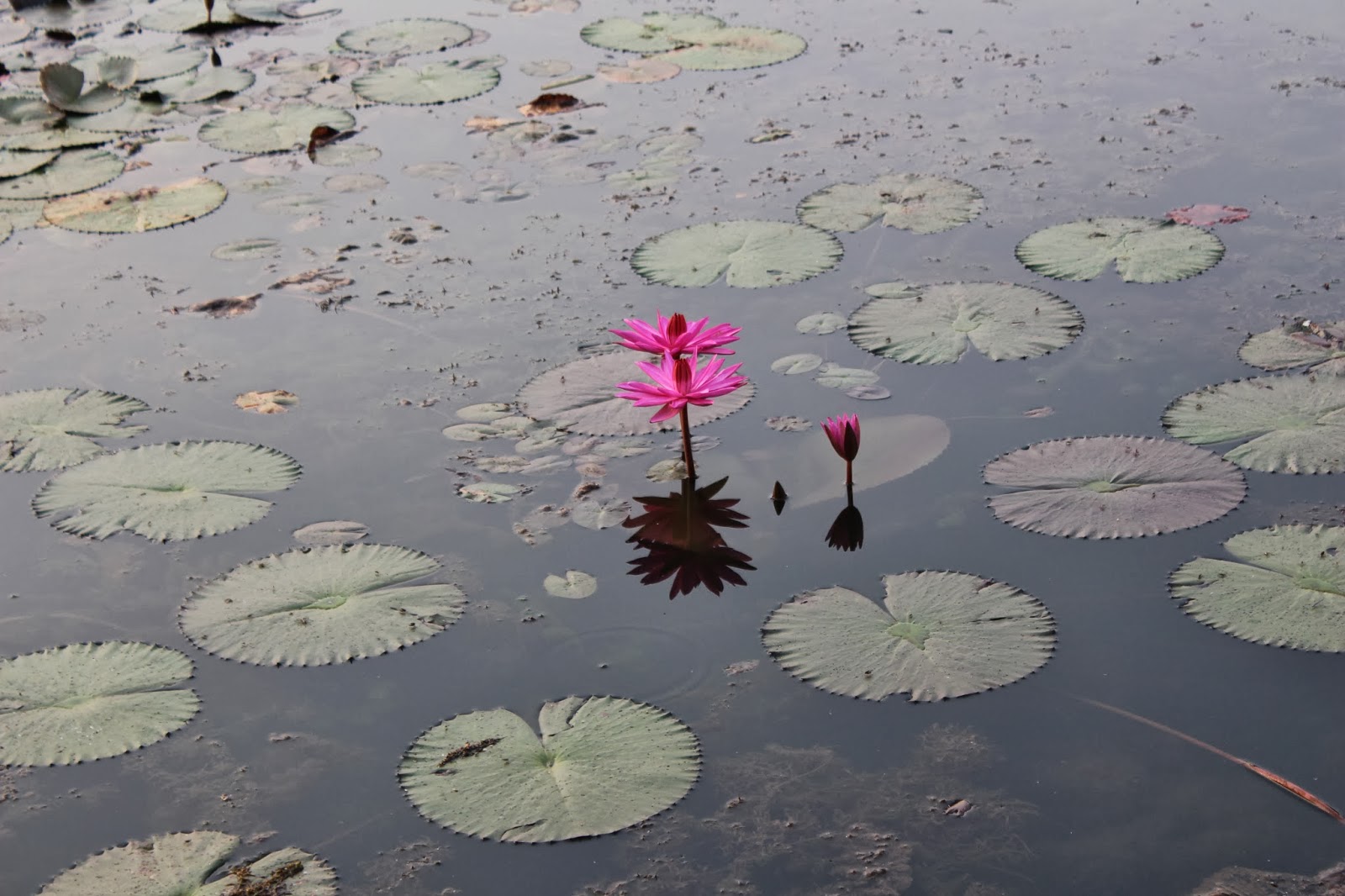 prostituées sacrées 2