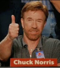 Esse blog é aprovado pelo Chuck Norris!!!!