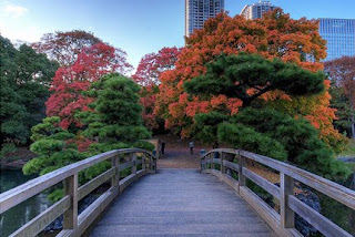 Taman Hijau Di Tengah Bandar Raya Tokyo Taman Hijau Di Tengah Bandar Raya Tokyo