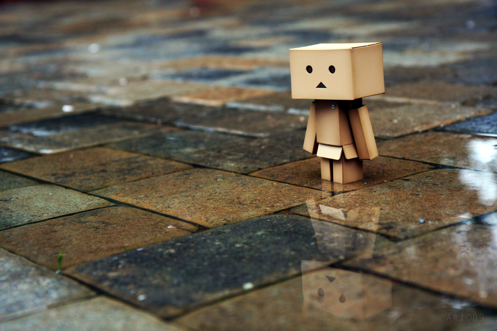 http://4.bp.blogspot.com/-mPea1iUCuLU/TcPHKpkGfhI/AAAAAAAAAFM/U0ygDkfaack/s1600/67711749742_Danbo_BoxBoy_Wallpapers.jpg