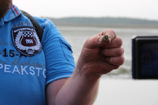 binedoro Blog ⎟ #bloggenmitherz auf Borkum ⎟ Auf ins Watt!