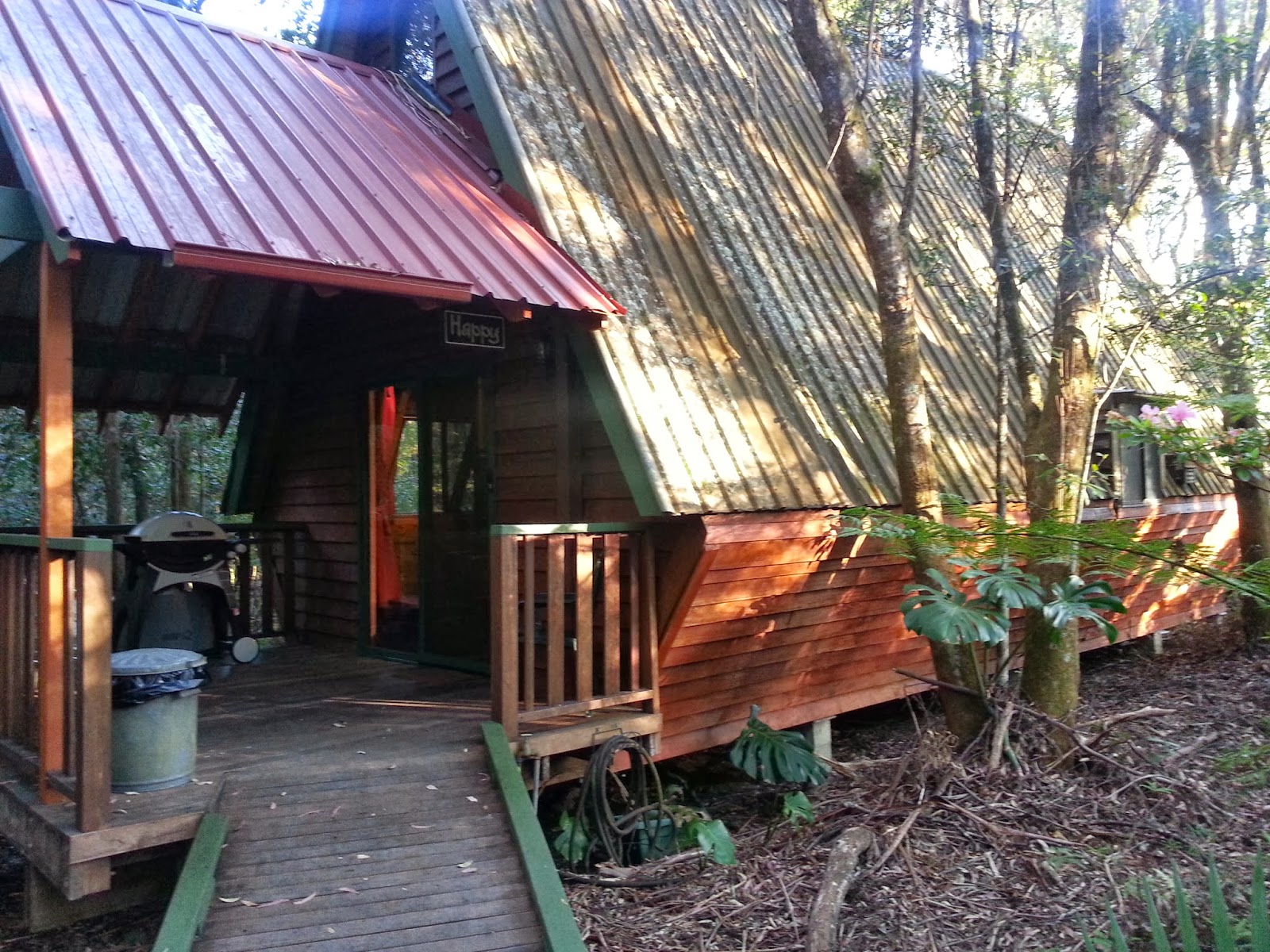 Normalsggirl The Mouses House Rainforest Retreat Springbrook